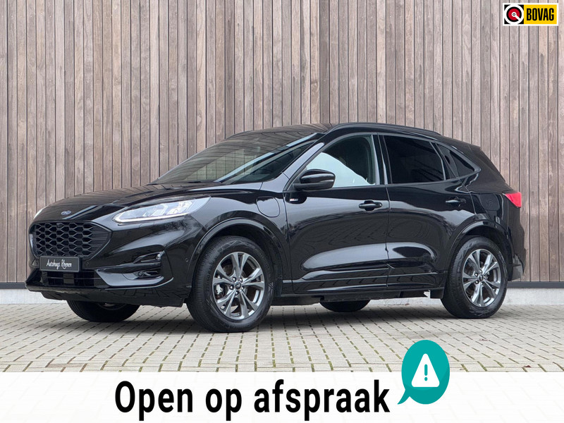 41723216