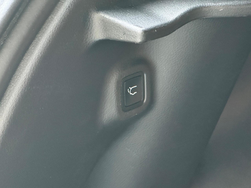 44964405-10.jpg