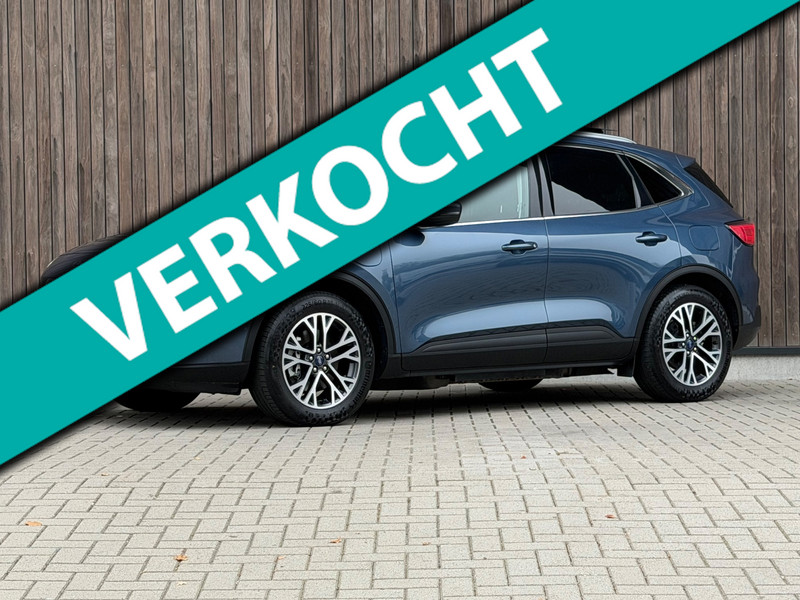 57195619